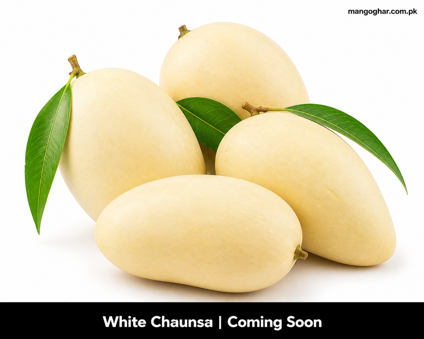 White Chaunsa Mango – Rare Premium Multani Mangoes