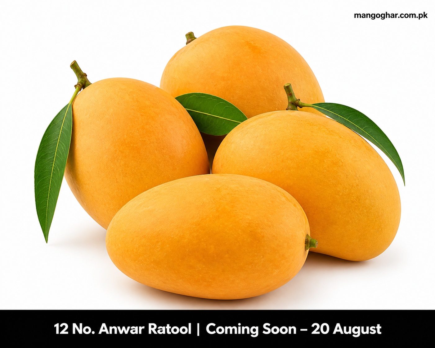 Anwar Ratool 12 No. – Extra Large Premium Mangoes